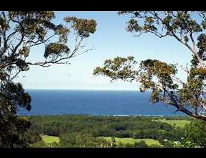 Sacret Mountain Retreat